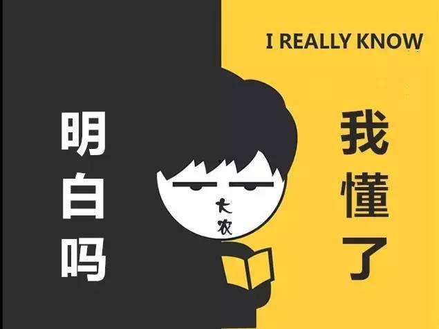 今日头条快乐吃瓜,快乐吃瓜，揭秘娱乐圈幕后故事