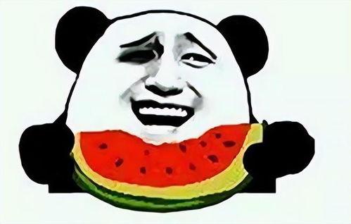 带你吃瓜奇葩黑科技玩具,带你探索那些令人捧腹的“吃瓜”黑科技玩具