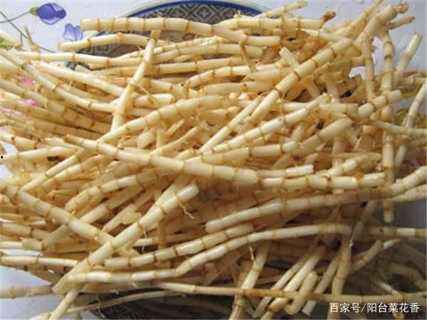51cg1吃瓜今日热门刀郎,51cg1吃瓜今日热门话题揭秘
