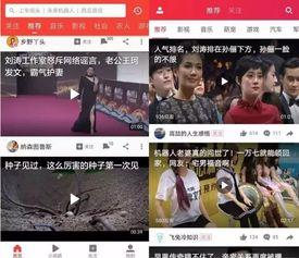 惠州今日吃瓜新闻视频回放,揭秘热门事件背后的真相
