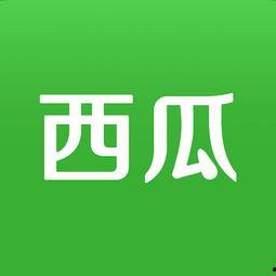 今日头条采访卖瓜,揭秘卖瓜小贩的日常与智慧