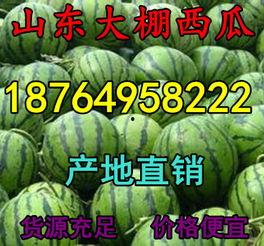 今日毛瓜的价格是多少