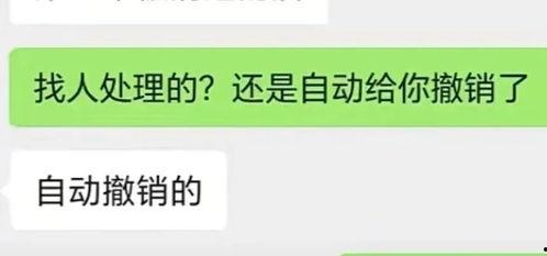 抖音上的吃瓜爆料,揭秘娱乐圈最新热点事件