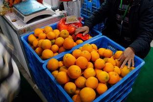 丽水今日热瓜,聚焦民生热点，解码社会现象