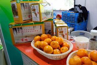 丽水今日热瓜,聚焦民生热点，解码社会现象