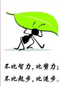 吃瓜爆料正能量图片大全,正能量图片大盘点