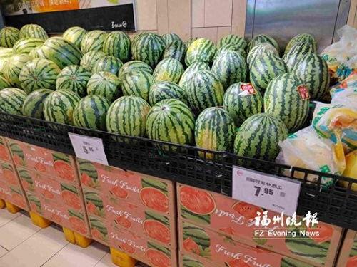 今日美都瓜价格最新行情,最新行情一览