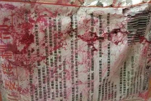 黑料吃瓜肾虚十八连,网络谣言背后的真相与反思
