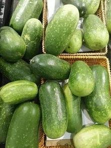 蔬菜蒲瓜今日行情,今日蔬菜市场新宠，价格走势分析