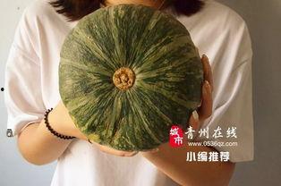 宁夏石缝瓜今日价格,今日市场行情一览，价格走势分析”