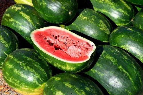 爆料吃瓜产品,吃瓜产品背后的秘密大曝光！