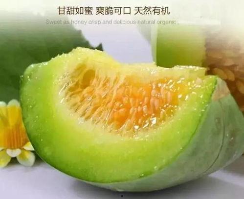 爆料吃瓜产品,吃瓜产品背后的秘密大曝光！