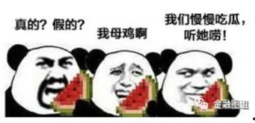 被骗钱吃瓜爆料,揭秘网络诈骗背后的惊人真相