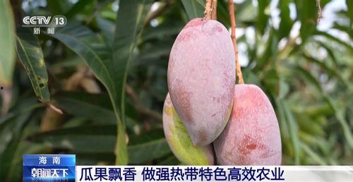 丽水今日热瓜新闻,今日焦点事件盘点