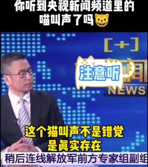 四川今日吃瓜新闻直播