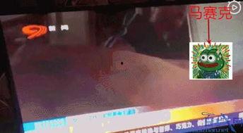 四川今日吃瓜新闻直播