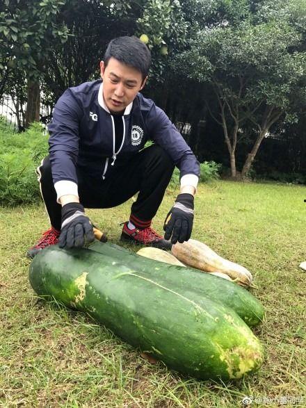 吃瓜爆料照片,吃瓜爆料照片背后的真相大揭秘