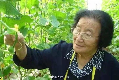 吃瓜爆料配乐是什么歌曲,揭秘热门歌曲背后的故事