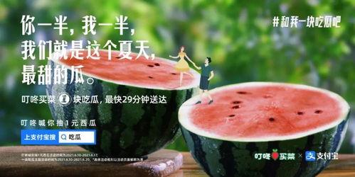 今日份茄瓜文案图片,营养满溢，美味升级！