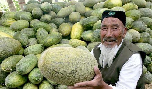 哈密瓜今日行情最新,今日价格走势解析
