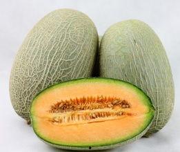 哈密瓜今日最新批发价格,新鲜美味，价格走低引关注”