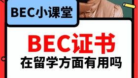 吃瓜爆料视频在线导航,一键掌握热门资讯，畅享娱乐盛宴
