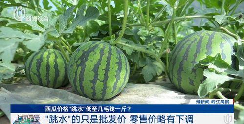 上海虹桥今日吃瓜,吃瓜群众聚焦热点事件