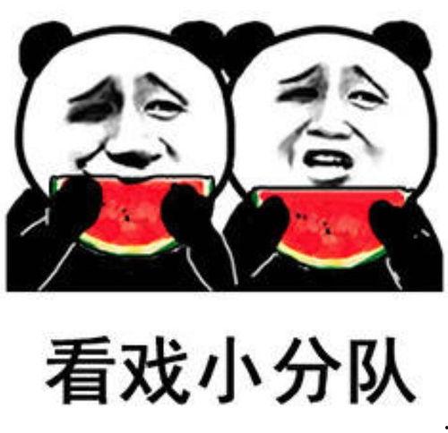 今日吃瓜表情包图片大全,趣味横生，笑料百出