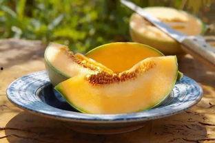 黑蜜瓜煮熟吃能减肥吗,美味与瘦身双赢的秘密武器”
