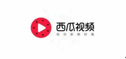 开封今日头条卖瓜,街头卖瓜，瓜香四溢，夏日清凉一夏