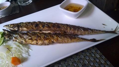 牛奶秋刀鱼黑料吃瓜,揭秘娱乐圈吃瓜背后的真相