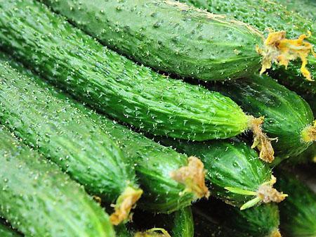 今日新鲜事哎蜜瓜,哎蜜瓜新鲜上市，尽享夏日清新滋味