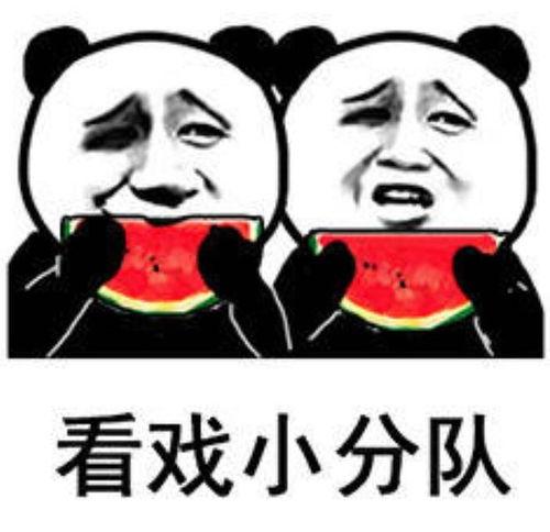 今日份吃瓜表情包,吃瓜表情包带你领略网络潮流