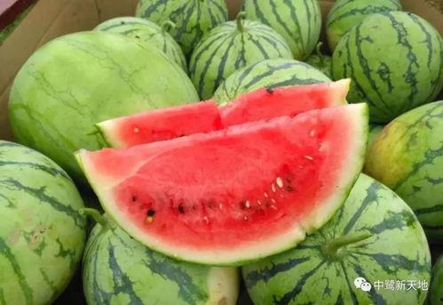 今日吃瓜播放,揭秘娱乐圈最新热点事件