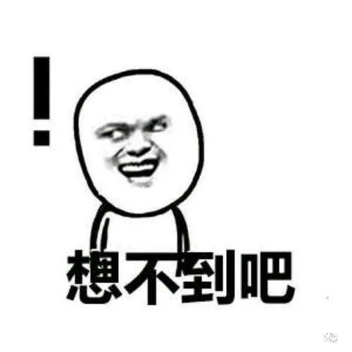 黑木炭瓜娃子可以吃吗