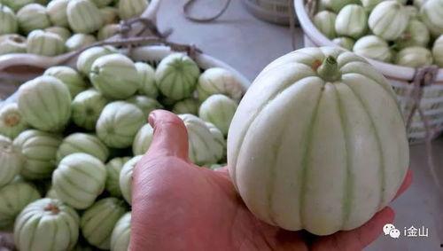 吃瓜爆料四大瓜,四大瓜事件背后的真相与启示