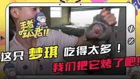 吃瓜君爆料遛鸟大师,揭秘吃瓜君爆料的神秘生活