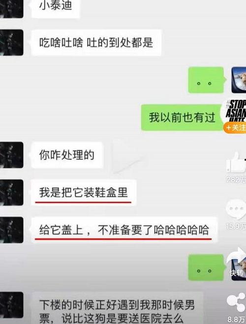 网曝吃瓜今日更新视频下载,精彩内容不容错过