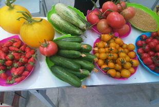 今日全国瓜菜价格,涨跌各异，市场行情一览