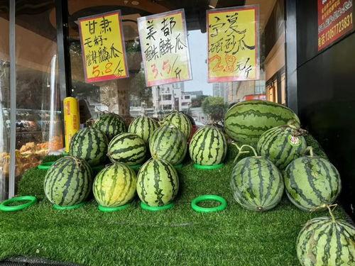 无籽麒麟瓜今日价格,今日无籽麒麟瓜价格行情一览