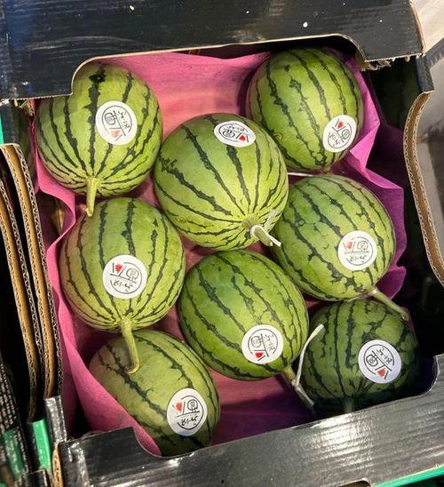 无籽麒麟瓜今日价格,今日无籽麒麟瓜价格行情一览