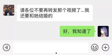 朋友圈今日吃瓜内容仅,揭秘娱乐圈最新瓜料