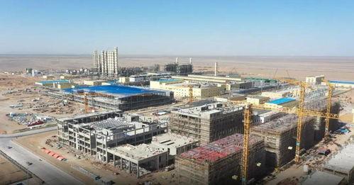 瓜州县今日猪价多少,行情稳定，养殖户信心增强