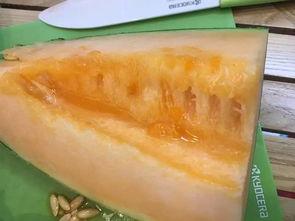 今日吃瓜柳州,街头巷尾尽享夏日清凉