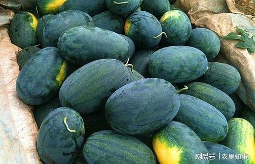 罗大黑前排吃瓜,揭秘娱乐圈幕后风云