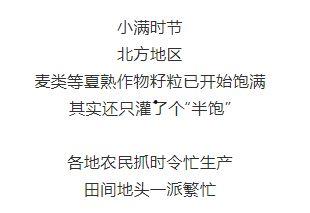 今日份小呆瓜文案短句,呆萌日常，笑点满满