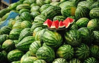 今日吃瓜网红黑料往期福利,从往期福利看吃瓜界的风云变幻