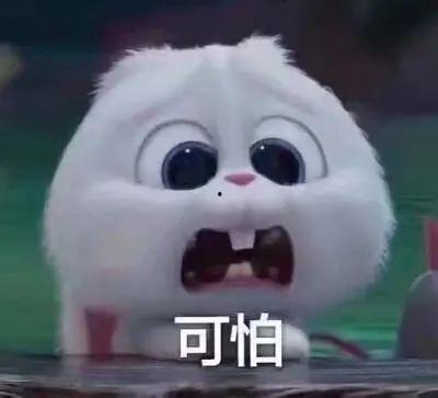 长春今日吃瓜事件真相视频,还原背后真相