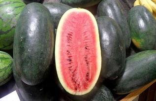 mogu吃瓜网红黑料,黑料背后的真相与反思