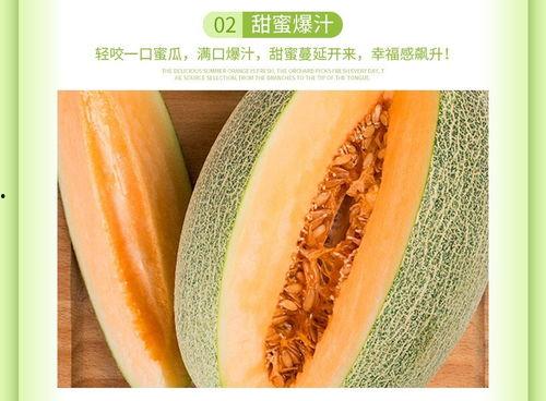 海南哈密瓜今日最新价格,价格行情一览